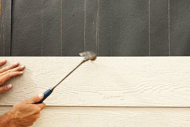Best Engineered Wood Siding  in Somerset, TX